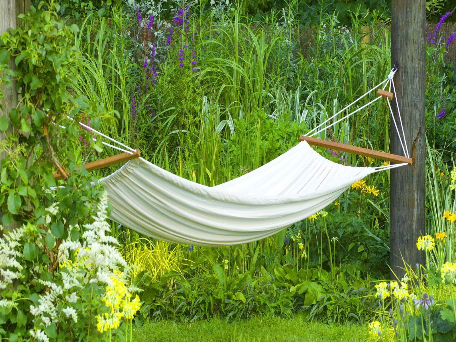 ASE Immersion retreat