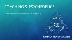 Transpersonal Coaching & Psychedelics - preparation - facilitation - integration